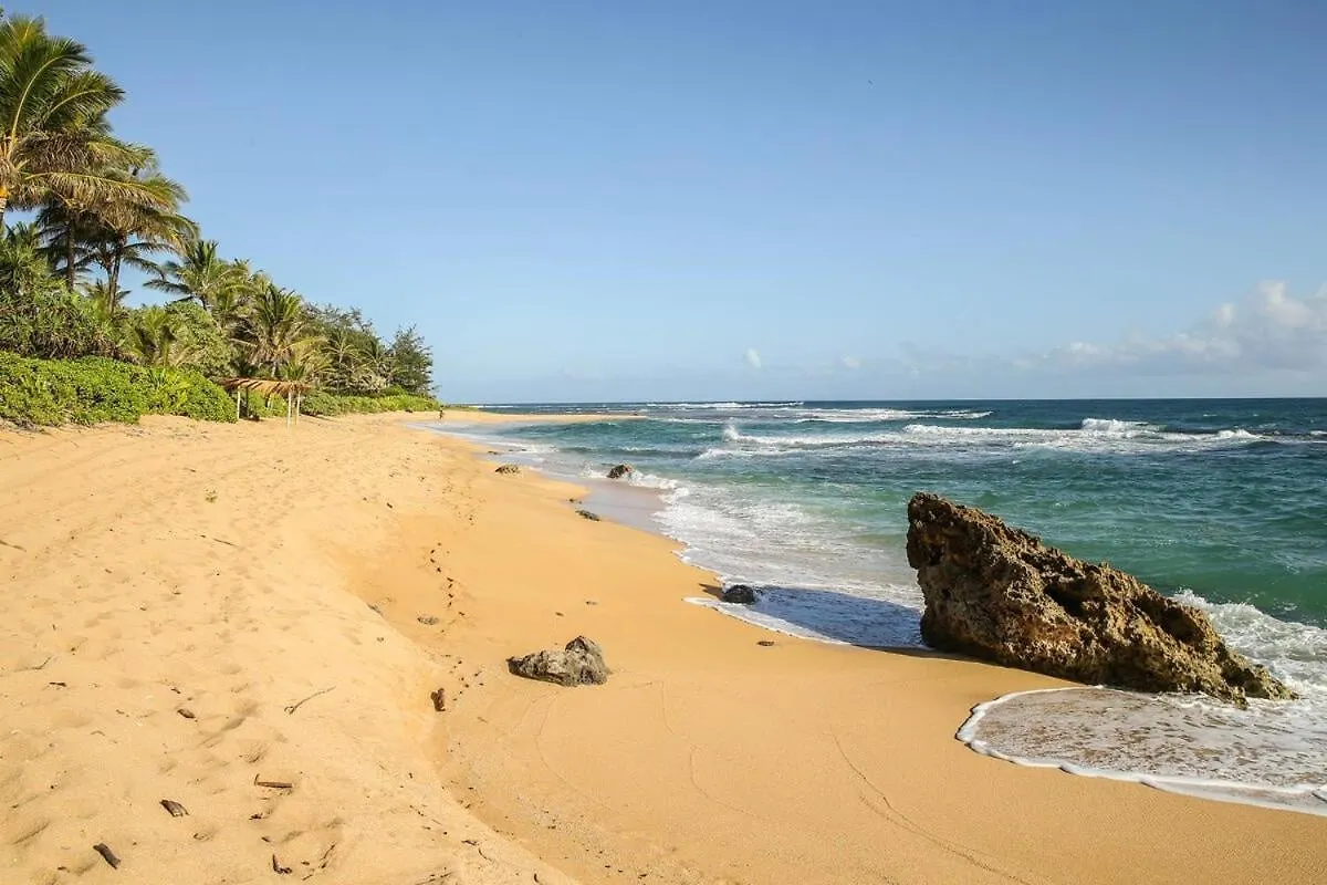Semesterbostad Makana Akua Haena Home USA
